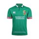 Maillot British & Irish Lions 2017 Entrainement Vert