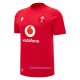 Maillot Pays De Galles Rugby 2026-2027 Domicile