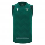 Debardeur Pays De Galles Rugby 2026 Entrainement Vert