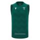 Debardeur Pays De Galles Rugby 2026 Entrainement Vert