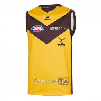 Maillot Hawthorn Hawks AFL 2020 Exterieur